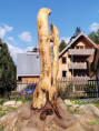/album/rok-2023/img-20230911-161828-jpg/