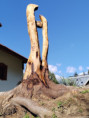 /album/rok-2023/img-20230911-161921-jpg/
