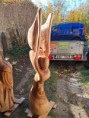 /album/rok-2025/502531462-4024339937782453-486843545222379121-n-jpg/