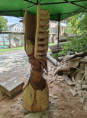/album/roka-2024/548132973-4125149864368126-4094849706106730280-n-jpg/